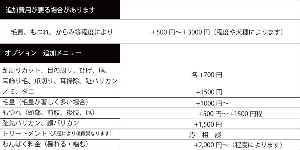 追加費用が必要な場合、オプション追加メニュー表